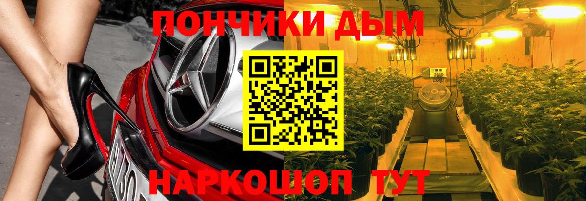 Канабис сатива Майский
